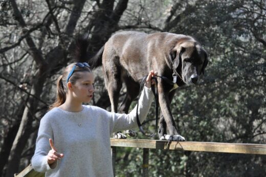 Agility